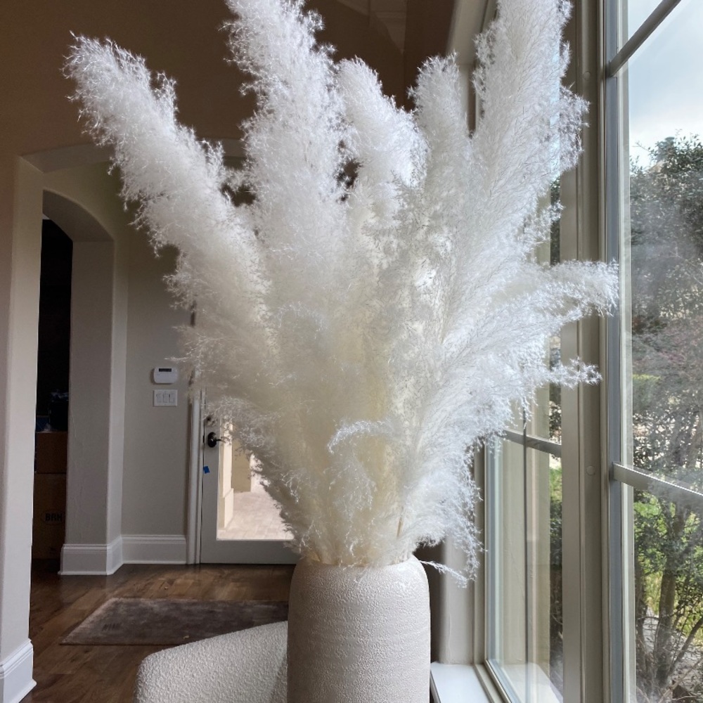 5 pack Large 4ft long pampas natural grass.